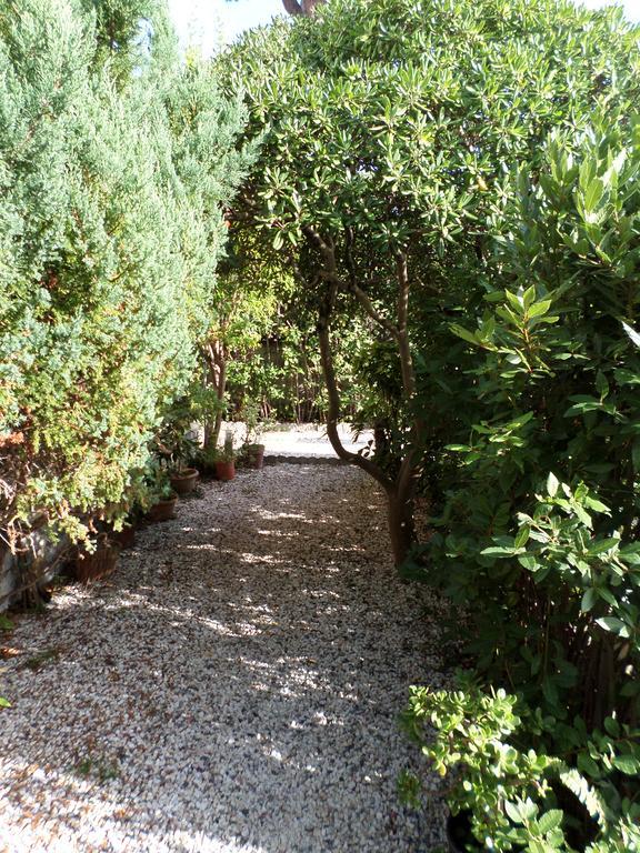 Le Midi Versilia Λίντο ντι Καμαϊόρε Εξωτερικό φωτογραφία